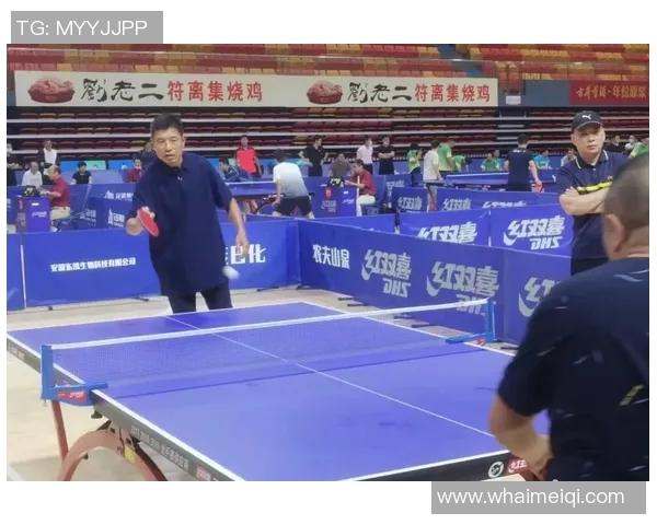 乒乓球运动发展历程与技术创新对全球体育文化的深远影响分析