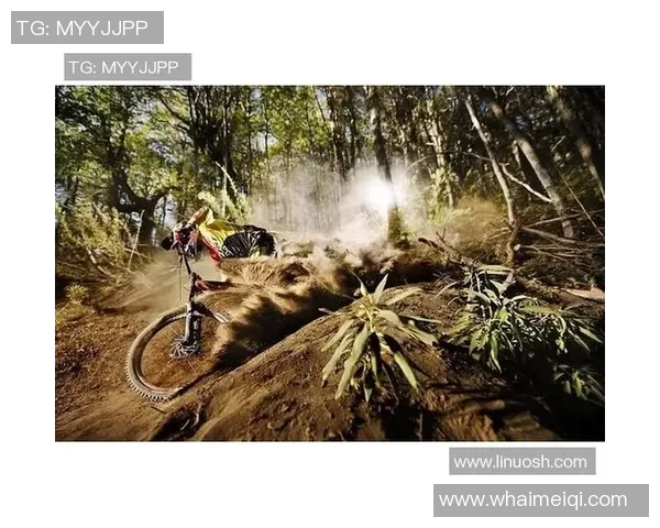 杭州极限运动嘉年华街舞队灵活性表现精彩点评与观众反响分析